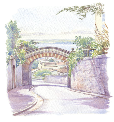 Villa Rosa footbridge, Shrubbery Road