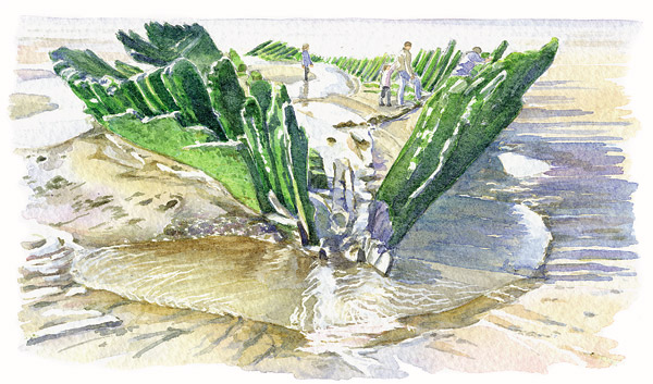 Page 17: The Wreck of the &lsquo;Nornen&rsquo; - Berrow sands