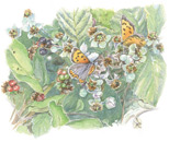 St. John's Church and the Glebe House